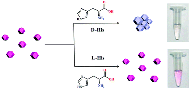 Graphical abstract: Rhombic dodecahedral gold nanoparticles: chiral sensing probes for naked-eye recognition of histidine enantiomers