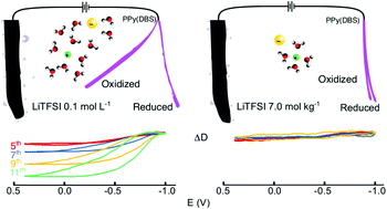 Graphical abstract: Downplaying the role of water in the rheological changes of conducting polymers by using water-in-salt electrolytes