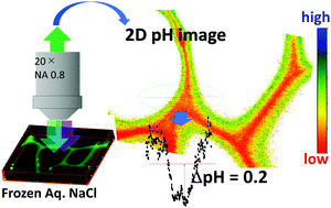 Graphical abstract: Microscale pH inhomogeneity in frozen NaCl solutions