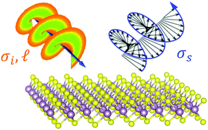 Selection rule for Raman spectra of two-dimensional materials using ...