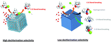 Graphical abstract: High activity of step sites on Pd nanocatalysts in electrocatalytic dechlorination