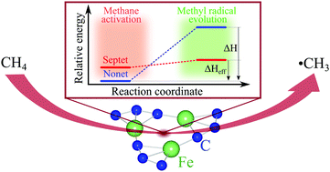 Graphical abstract: Role of magnetization on catalytic pathways of non-oxidative methane activation on neutral iron carbide clusters