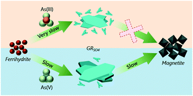 Graphical abstract: Arsenic species delay structural ordering during green rust sulfate crystallization from ferrihydrite