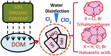 Graphical abstract: Carbonaceous DBP (THMs and HAAs) formation during Cl2 and ClO2 treatment of aqueous soluble fractions of soil derived natural organic matter