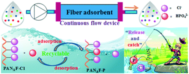 Graphical abstract: Efficient capture of phosphate from wastewater by a recyclable ionic liquid functionalized polyacrylonitrile fiber: a typical “release and catch” mechanism