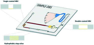 Graphical abstract: Precise sample metering method by coordinated burst action of hydrophobic burst valves applied to dried blood spot collection