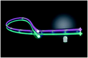 Graphical abstract: Three-dimensional tracking of nanoparticles by dual-color position retrieval in a double-core microstructured optical fiber