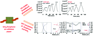 Graphical abstract: Large area growth of SnS2/graphene on cellulose paper as a flexible broadband photodetector and investigating its band structure through first principles calculations