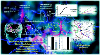 Graphical abstract: Design, synthesis, and biological evaluation of new thalidomide–donepezil hybrids as neuroprotective agents targeting cholinesterases and neuroinflammation