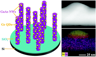 Graphical abstract: Thermally-driven formation method for growing (quantum) dots on sidewalls of self-catalysed thin nanowires