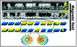 Graphical abstract: Stochastic vs. deterministic magnetic coding in designed cylindrical nanowires for 3D magnetic networks