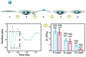 Graphical abstract: Exploring the mechanical properties of nanometer-thick elastic films through micro-drop impinging on large-area suspended graphene