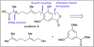 Graphical abstract: Convergent total synthesis of corallocin A