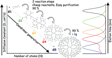 Graphical abstract: Slightly congested amino terminal dendrimers. The synthesis of amide-based stable structures on a large scale