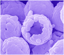 Graphical abstract: Synthetic strategies for hollow particles with open holes on their surfaces