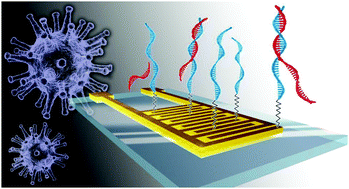 Graphical abstract: Detection of a SARS-CoV-2 sequence with genosensors using data analysis based on information visualization and machine learning techniques