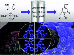 Graphical abstract: A solvent-free and efficient synthesis of bicyclic 2-pyridone derivatives for endoplasmic reticulum imaging