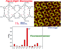 Graphical abstract: Figure-eight arylene ethynylene macrocycles: facile synthesis and specific binding behavior toward Hg2+