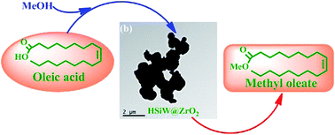 MOF-derived zirconia-supported Keggin heteropoly acid nanoporous ...