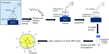 Graphical abstract: 5FU encapsulated polyglycerol sebacate nanoparticles as anti-cancer drug carriers