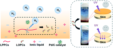 Graphical abstract: Catalytic hydrogenolysis of larix bark proanthocyanidins in ionic liquids produces UV blockers with potential for use in cosmetics