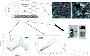 Graphical abstract: Voltammetric and impedimetric determinations of selenium(iv) by an innovative gold-free poly(1-aminoanthraquinone)/multiwall carbon nanotube-modified carbon paste electrode