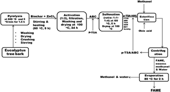 Graphical abstract: Sulfonated biochar catalyst derived from eucalyptus tree shed bark: synthesis, characterization and its evaluation in oleic acid esterification