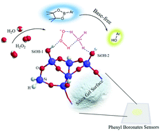 Graphical abstract: Expeditious base-free solid-state reaction between phenyl boronates and hydrogen peroxide on silica gel