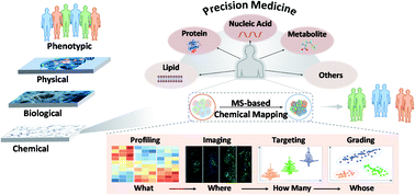 Graphical abstract: Mass spectrometry-based chemical mapping and profiling toward molecular understanding of diseases in precision medicine