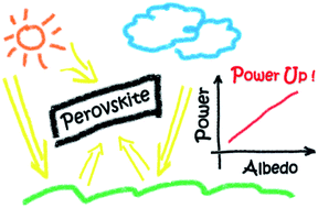 Graphical abstract: Assessing the true power of bifacial perovskite solar cells under concurrent bifacial illumination