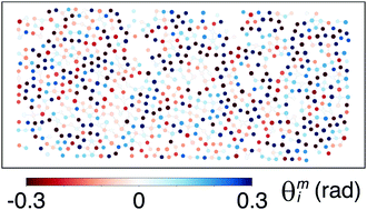 Graphical abstract: Rotational diffusion and rotational correlations in frictional amorphous disk packings under shear