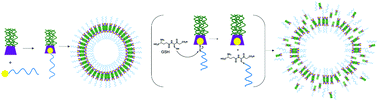 Graphical abstract: Glutathione sensitive vesicles prepared from supramolecular amphiphiles