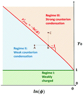 Graphical abstract: Where in the world are condensed counterions?