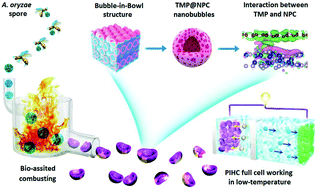 Graphical abstract: “Bubble-in-bowl” structured metal phosphide@N, P codoped carbon via bio-assisted combustion synthesis for high-performance potassium-ion hybrid capacitors in a wide temperature range