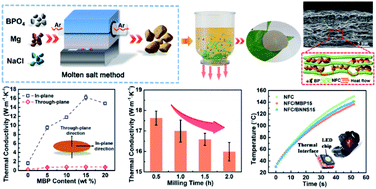 Graphical abstract: Enhanced thermal management performance of nanofibrillated cellulose composite with highly thermally conductive boron phosphide