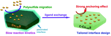 Graphical abstract: In situ tailored strategy to remove capping agents from copper sulfide for building better lithium–sulfur batteries