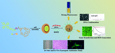 Graphical abstract: [12]aneN3-Conjugated AIEgens with two-photon imaging properties for synergistic gene/photodynamic therapy in vitro and in vivo