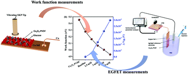 Graphical abstract: A ZIF-67 derived Co3O4 dodecahedron shaped microparticle electrode based extended gate field-effect transistor for non-enzymatic glucose detection towards the diagnosis of diabetes mellitus