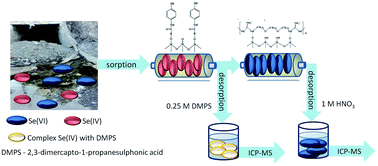 Speciation of inorganic selenium in natural water by in situ solid ...