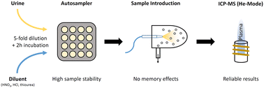 Graphical abstract: A method for reliable quantification of mercury in occupational and environmental medical urine samples by inductively coupled plasma mass spectrometry