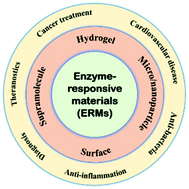 Graphical abstract: Enzyme-responsive strategy as a prospective cue to construct intelligent biomaterials for disease diagnosis and therapy