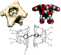 Graphical abstract: Photochemistry in a capsule: controlling excited state dynamics via confinement