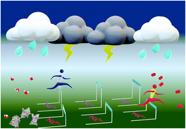 Graphical abstract: Boosting the oxygen evolution electrocatalysis of high-entropy hydroxides by high-valence nickel species regulation