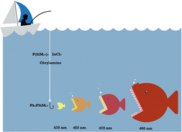 Graphical abstract: Reeling them in: Ph2PSiMe3 in the sequential formation of InP magic-sized clusters