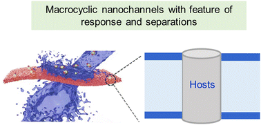 Graphical abstract: Engineering solid nanochannels with macrocyclic host–guest chemistry for stimuli responses and molecular separations