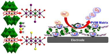 Graphical abstract: Stabilization and activation of polyoxometalate over poly(vinyl butylimidazolium) cations towards electrocatalytic water oxidation in alkaline media