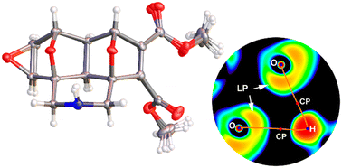 Crystal engineering of molecules with through-space α-effect hydrogen ...