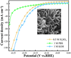 Graphical abstract: Co-doped MoS2 nanosheet: a stable and pH-universal electrocatalyst for an efficient hydrogen evolution reaction