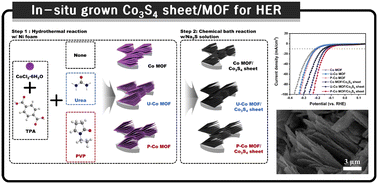 Graphical abstract: In situ-grown Co3S4 sheet-functionalized metal–organic framework via surface engineering as a HER catalyst in alkaline media