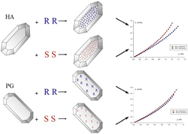 Graphical abstract: Possibility of chiral recognition by adsorption on enantiomorphous crystals: the impact of crystal surface polarity